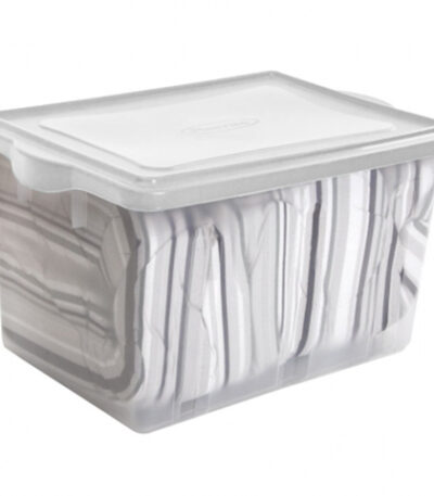 Caixa Organizadora Plasvale 295 - 38L