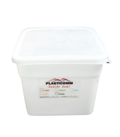 Caixa Plástica com Tampa 22cm Plasticomm 404 - 6L
