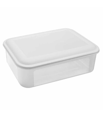 Caixa Organizadora com Tampa Santana 70 - 6L