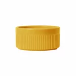 Ramekin Porcelana Amarelo Germer - 850ML