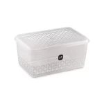 Pote Retangular Plático Transparente com Tampa UZ397 - 2L